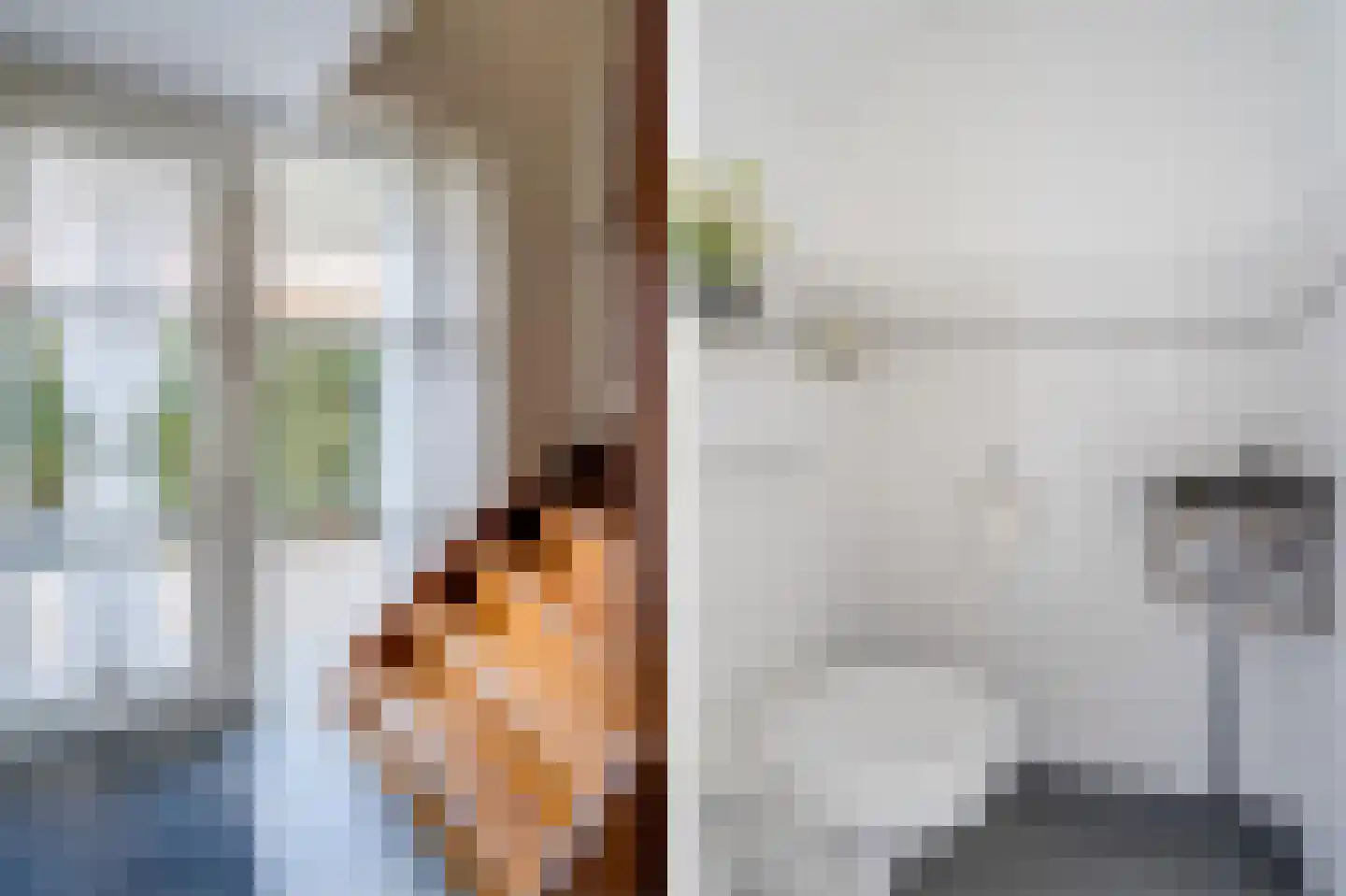 De Gonzer 7 Wervershoof thumbnail 27