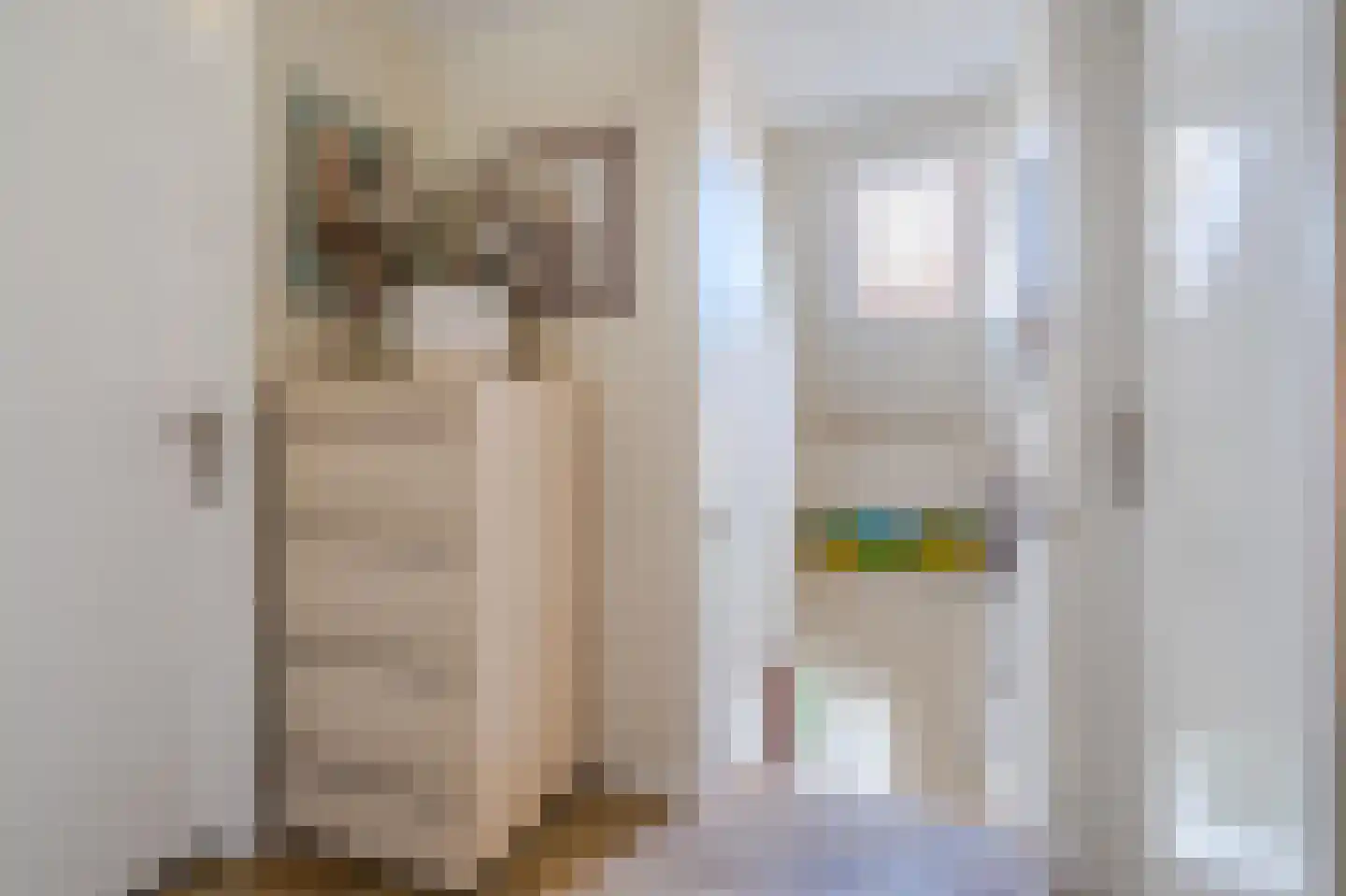 De Gonzer 7 Wervershoof thumbnail 39