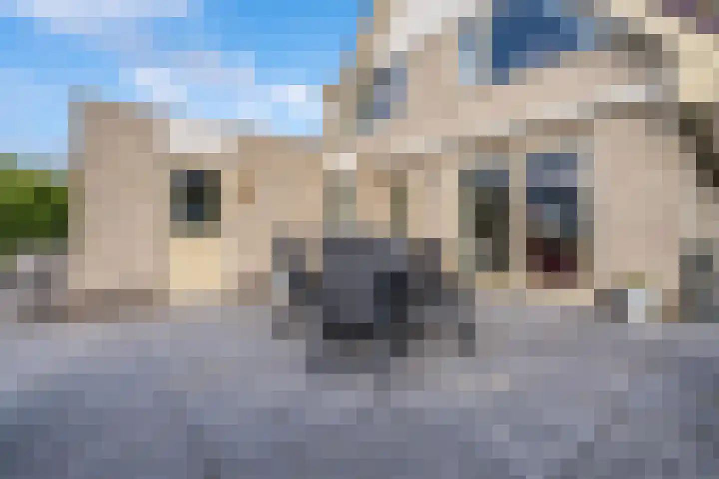 De Gonzer 7 Wervershoof thumbnail 43