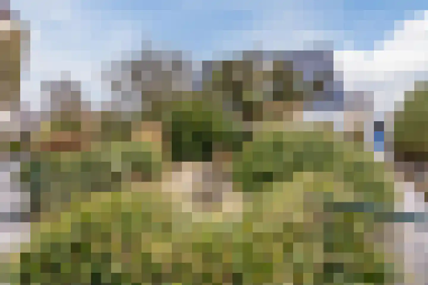 De Gonzer 7 Wervershoof thumbnail 46