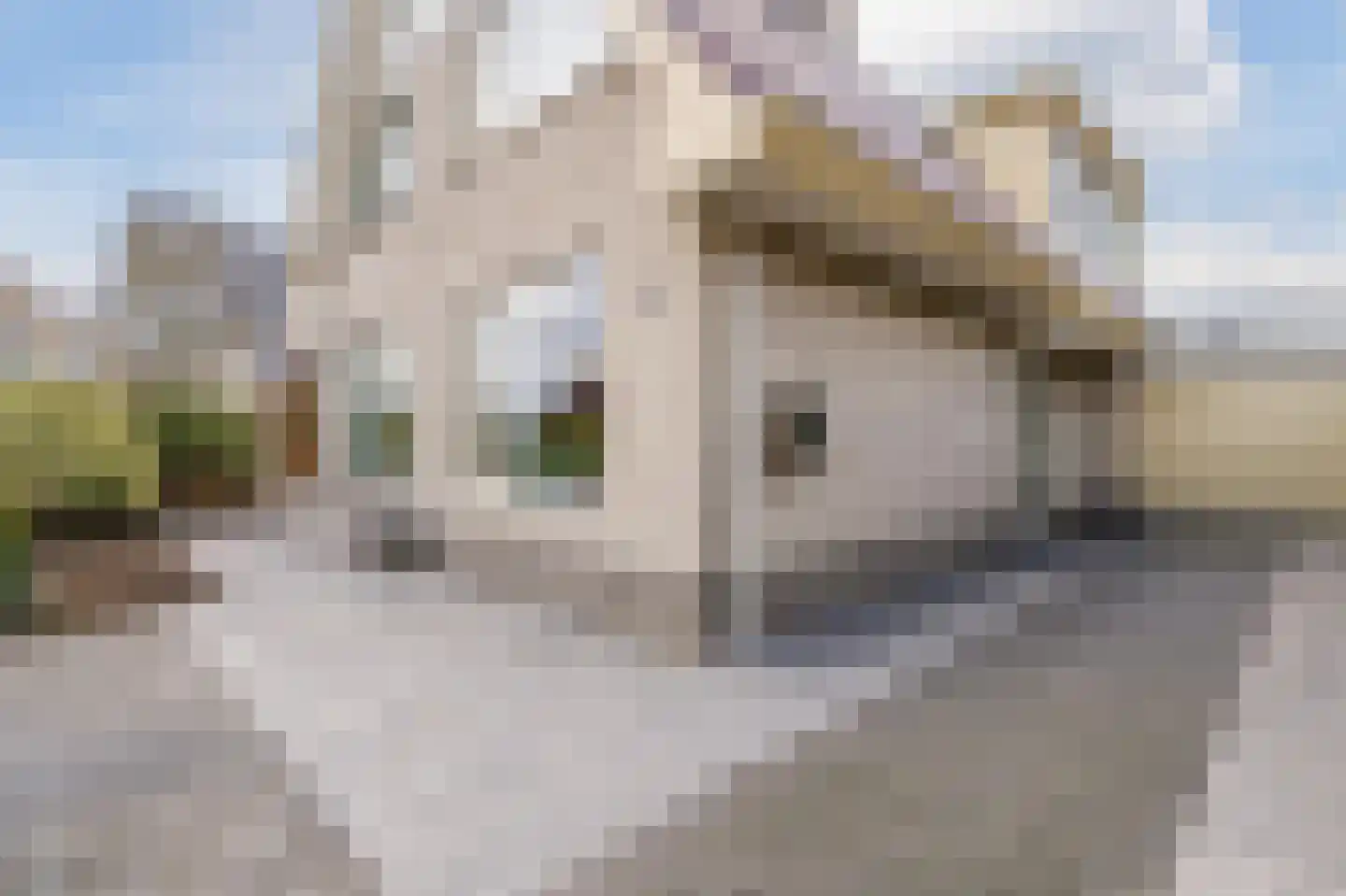 De Gonzer 7 Wervershoof thumbnail 6