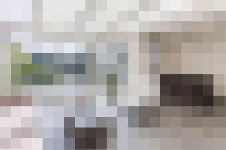 De Goolder 24 Veldhoven thumbnail 14