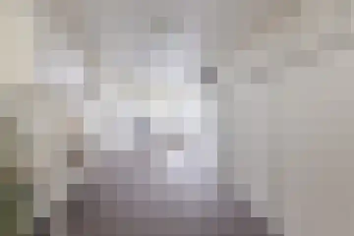 De Goolder 24 Veldhoven thumbnail 15