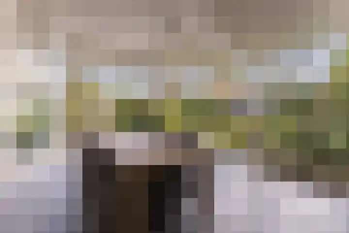 De Goolder 24 Veldhoven thumbnail 24