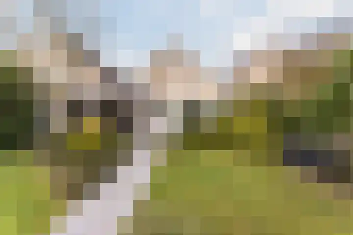 De Goolder 24 Veldhoven thumbnail 26