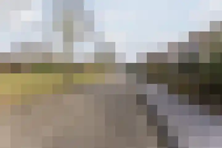 De Goolder 24 Veldhoven thumbnail 27