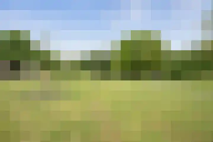 De Goolder 24 Veldhoven thumbnail 28