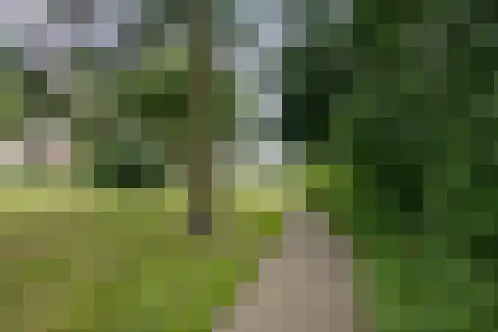 De Goolder 24 Veldhoven thumbnail 29