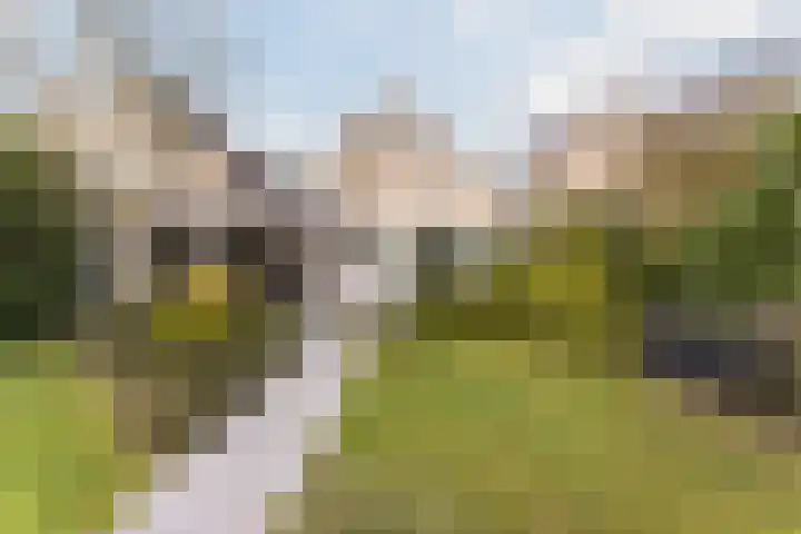 De Goolder 24 Veldhoven thumbnail 4