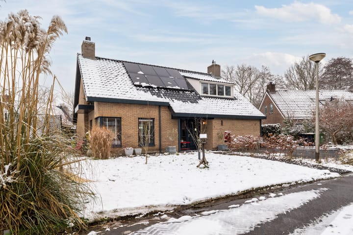 De Goorns 1 in Vries