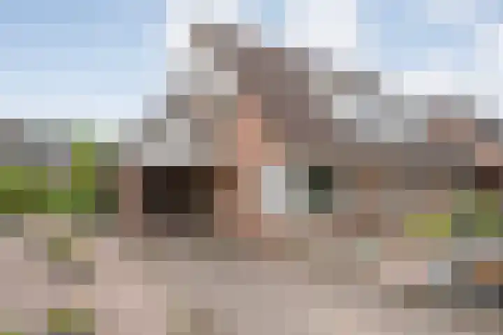 De Goorns 20 Wijster
