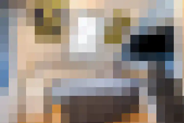 De Goorns 9 Wijster thumbnail 21