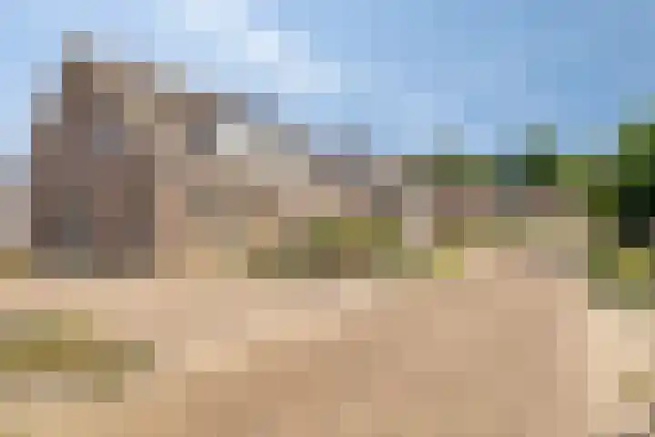 De Goorns 9 Wijster thumbnail 33