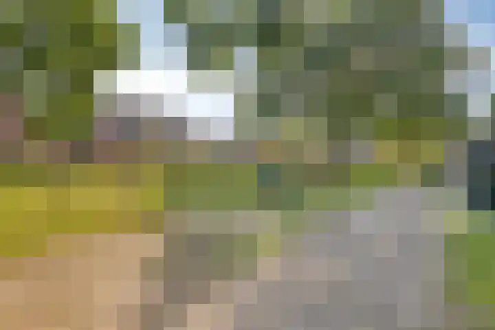 De Goorns 9 Wijster thumbnail 36