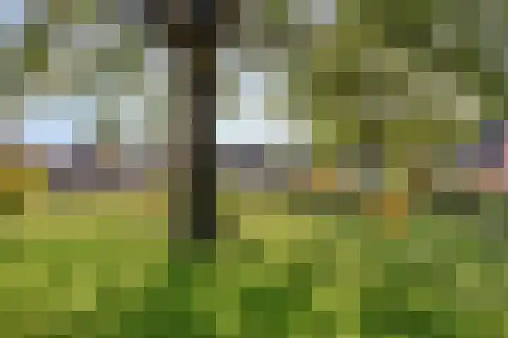 De Goorns 9 Wijster thumbnail 37