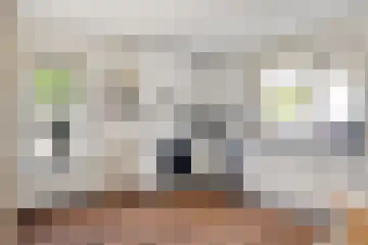 De Goorns 9 Wijster thumbnail 8