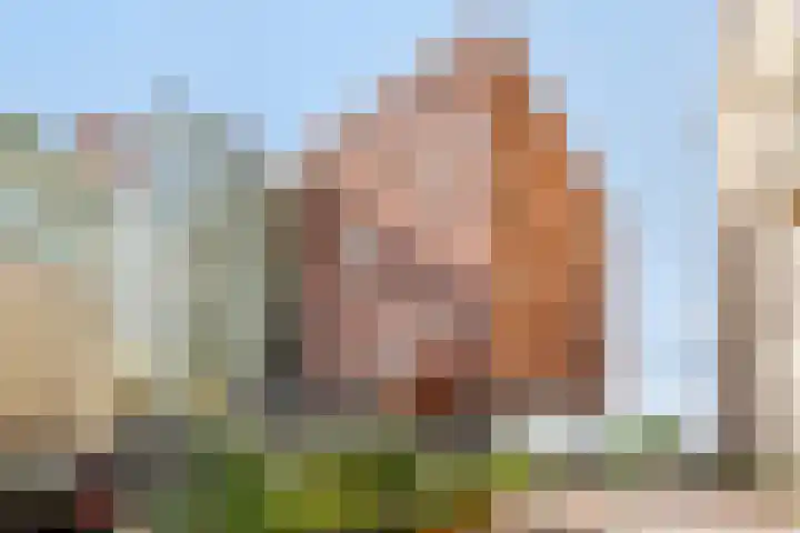 De Gortpeller 61 Zaandam thumbnail 27