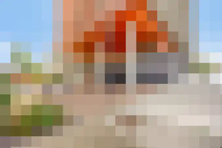 De Gortpeller 61 Zaandam thumbnail 5