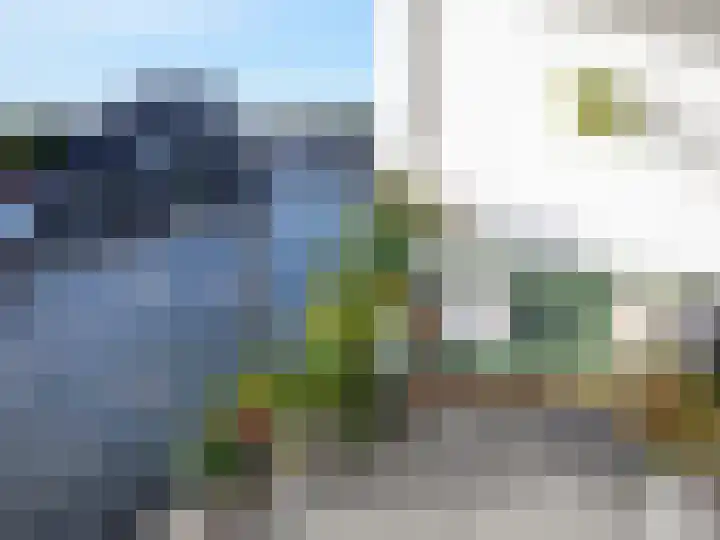 De Gortpeller 62 Zaandam thumbnail 26