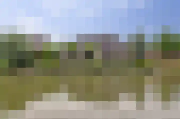 De Goudplevier 1 Harlingen thumbnail 47