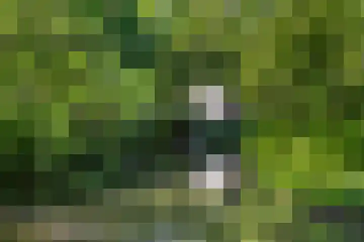 De Graafdreef 7 Amersfoort thumbnail 6