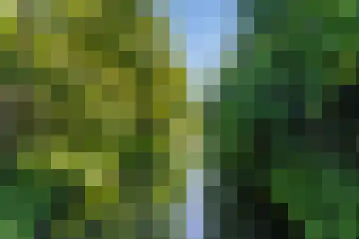 De Graafdreef 7 Amersfoort thumbnail 63