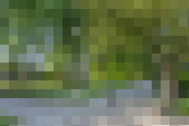 De Graafdreef 7 Amersfoort thumbnail 64