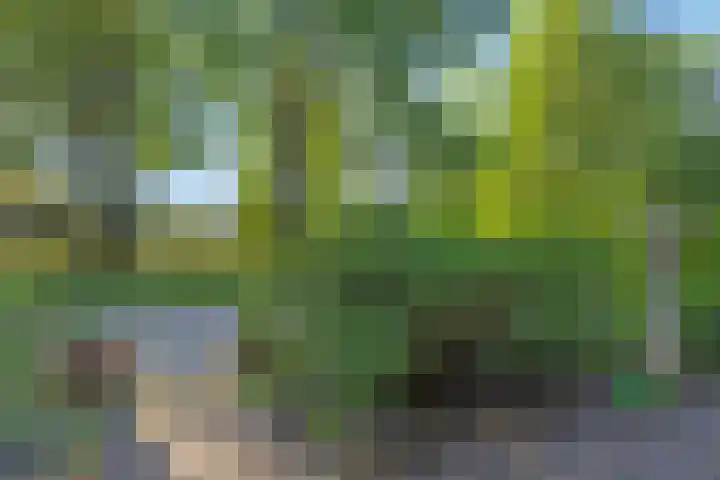 De Graafdreef 7 Amersfoort thumbnail 8