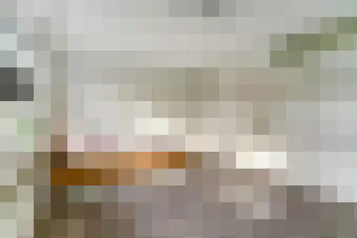de Graaff 41 Werkendam thumbnail 22