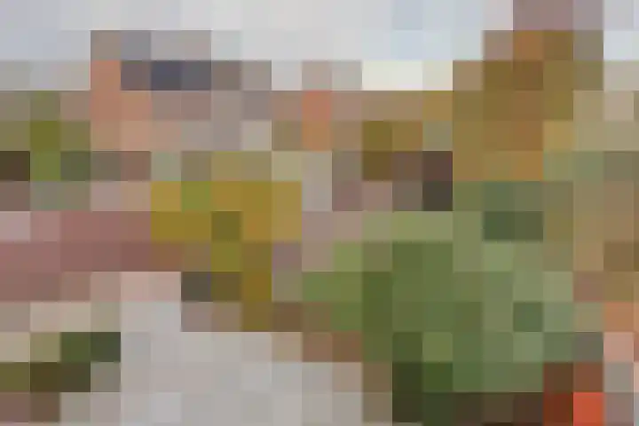 de Graaff 41 Werkendam thumbnail 31