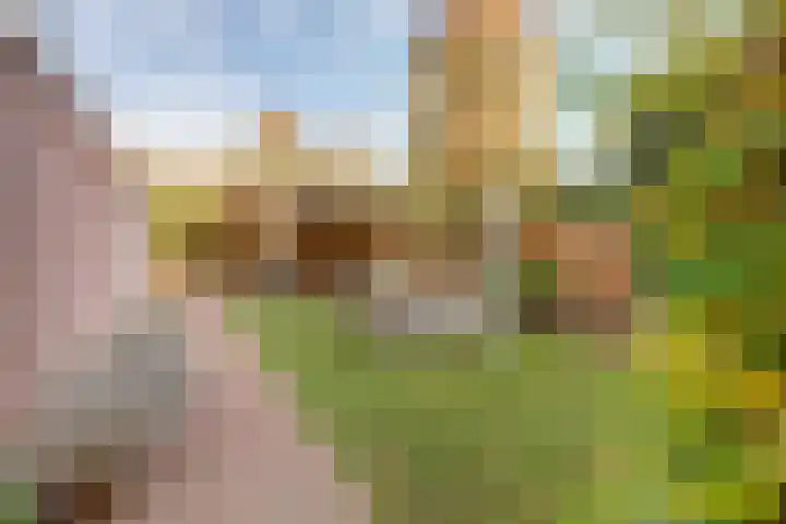 de Graaff 41 Werkendam thumbnail 32