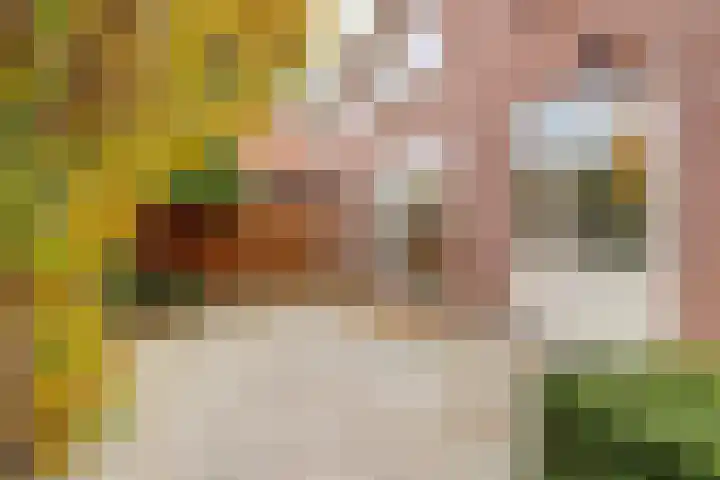 de Graaff 41 Werkendam thumbnail 36