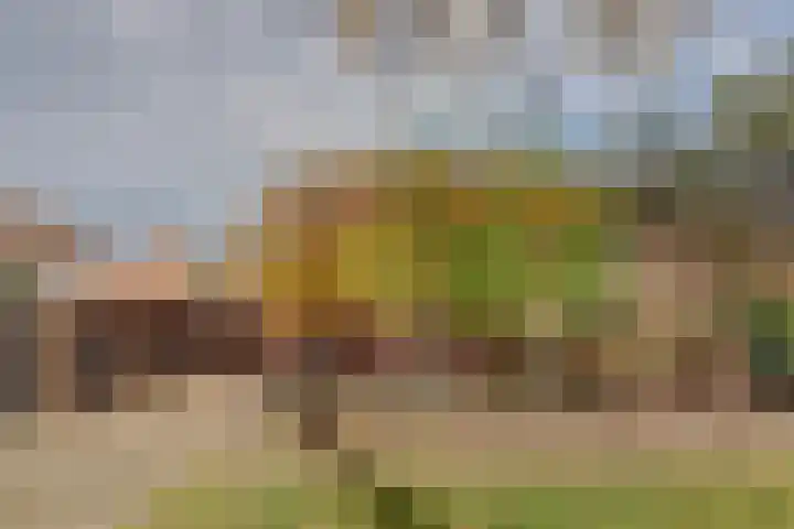 de Graaff 41 Werkendam thumbnail 39