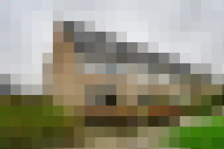 de Graaff 44 Werkendam