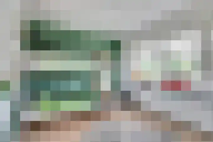 De Graaffstraat 91 Goes thumbnail 18