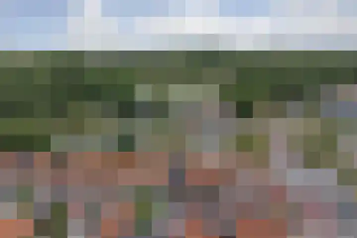 De Graaffstraat 91 Goes thumbnail 25
