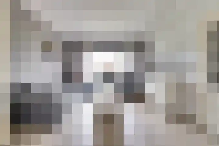 De Graaffstraat 91 Goes thumbnail 6