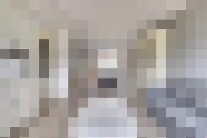 De Graaffstraat 91 Goes thumbnail 7