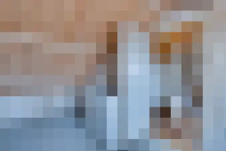 De Graaffstraat 93 Goes thumbnail 39