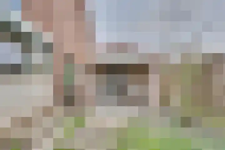 De Graaffstraat 93 Goes thumbnail 52