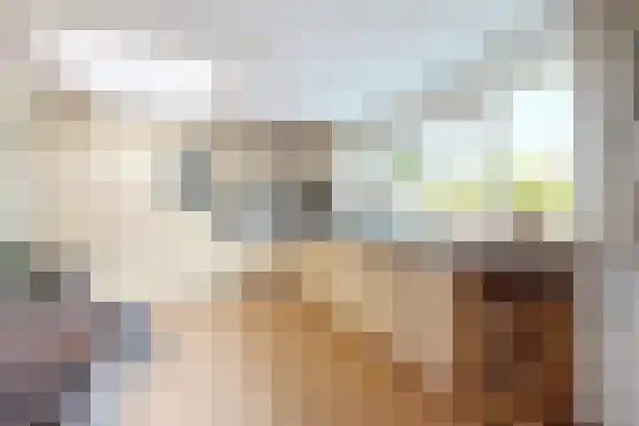 De Gracht 3 Klundert thumbnail 24
