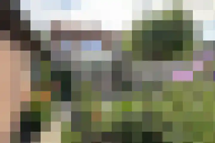 De Gracht 3 Klundert thumbnail 50