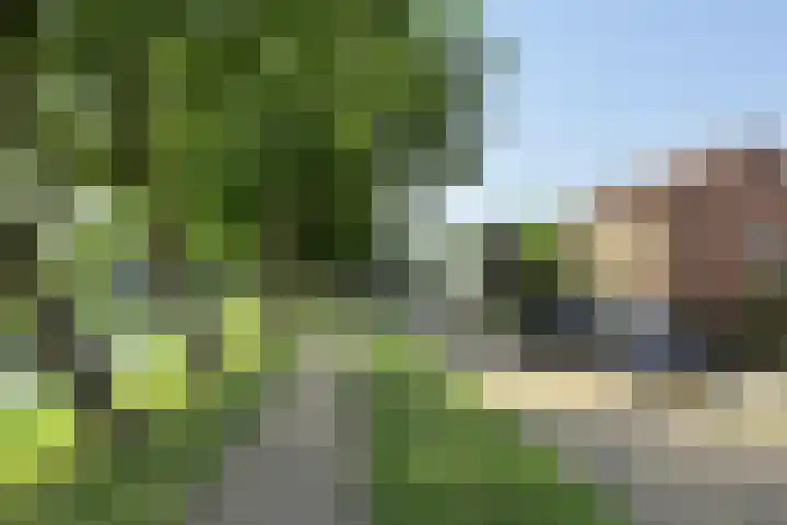 De Gracht 3 Klundert thumbnail 61