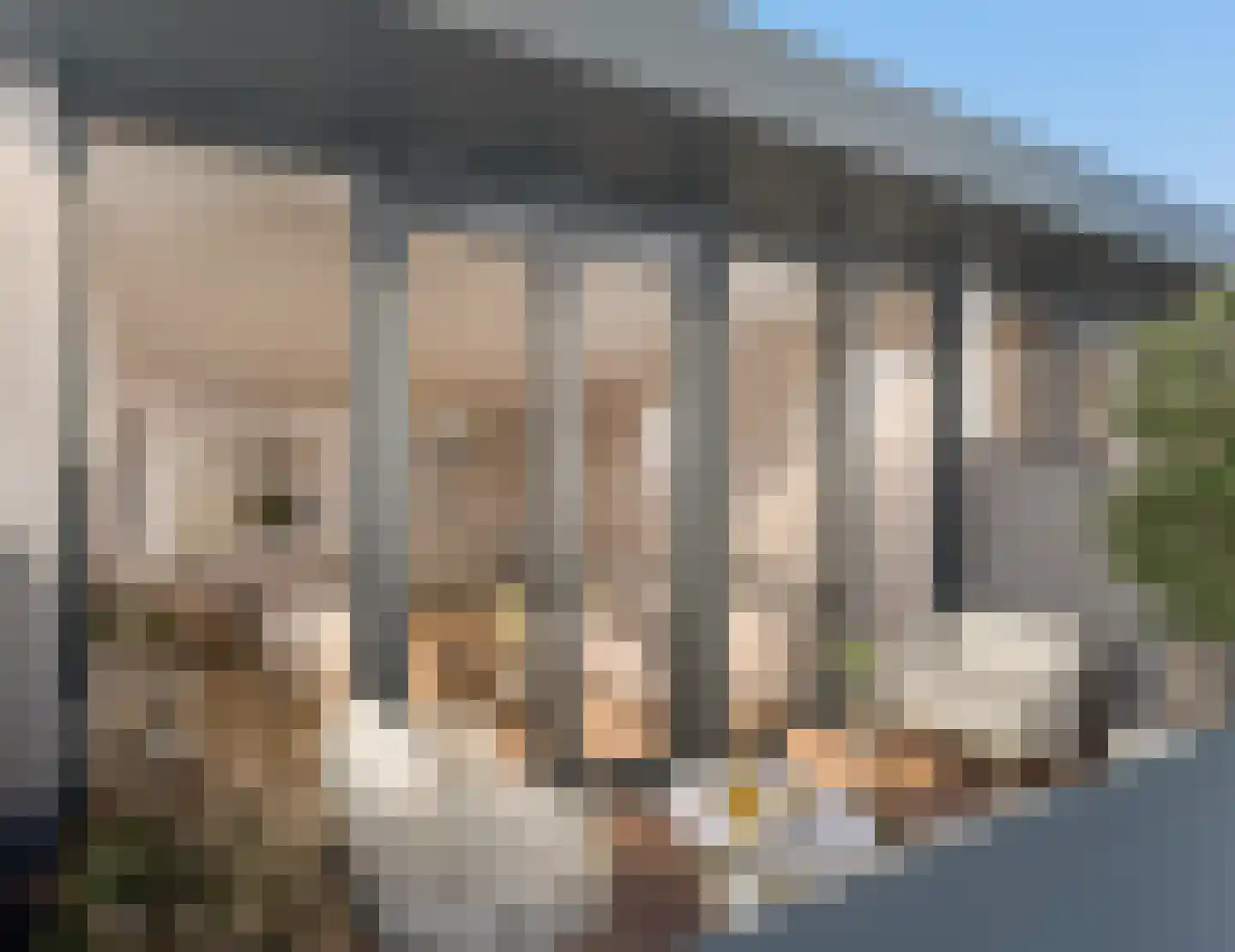 De Graeffstraat 4 G Rotterdam thumbnail 8