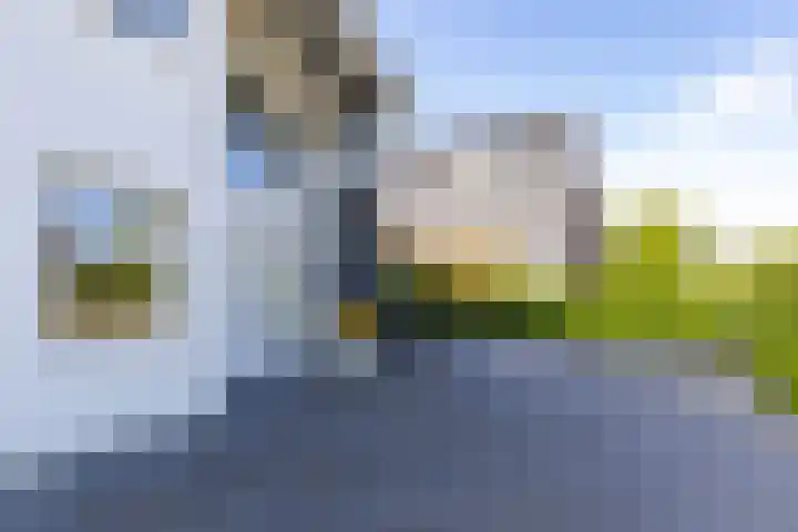 De Grasjuffer 2 Eelderwolde thumbnail 10