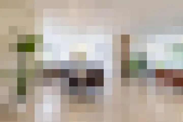 De Grasjuffer 2 Eelderwolde thumbnail 16