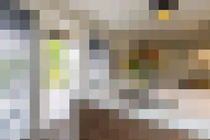 De Grasjuffer 2 Eelderwolde thumbnail 22