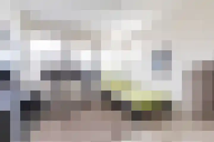 De Grasjuffer 2 Eelderwolde thumbnail 43
