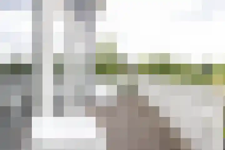 De Grasjuffer 2 Eelderwolde thumbnail 55