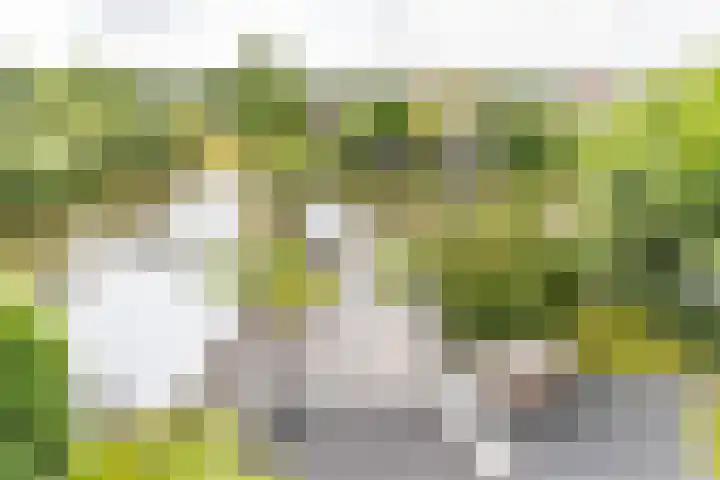 De Grasjuffer 2 Eelderwolde thumbnail 57